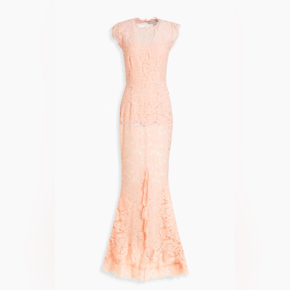 RACHEL ZOE
Open-back corded lace gown
